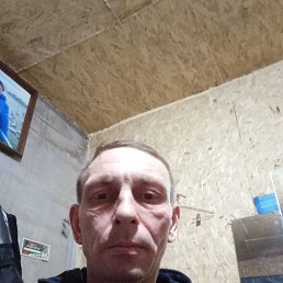 �������, 44 ����, ����