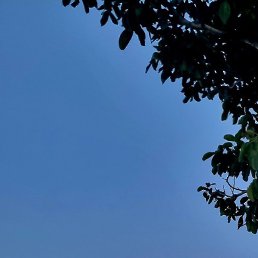 �������, ������, 25 ���