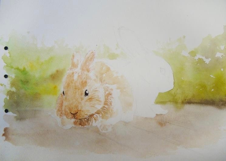   . ( 1).   .     ... - 6