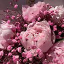 ���� �������, ����, 47 ��� - ��������� 5 ������� 2026 � ������ ���� ����������