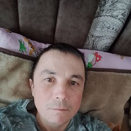 ���� ����, �������, 43 ���� - ��������� 3 ����� 2026