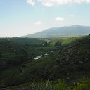 ������������� 2010 ������ �� ������� ���������