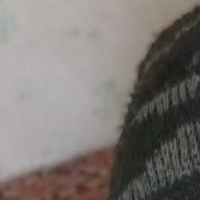 ������, 40 ���, �����