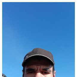 , 44, 