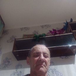 , 63 , 