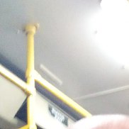 ������, 53 ����, ����