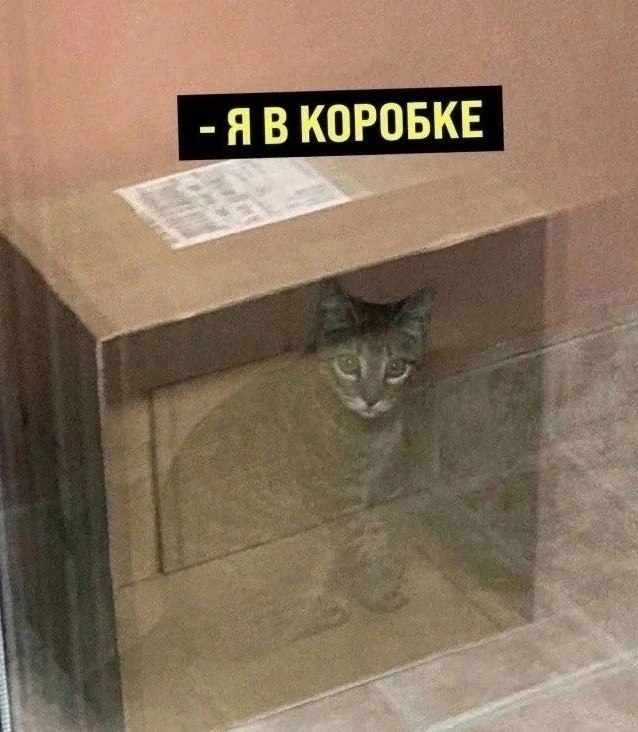       - 7  2025  21:52 - 2