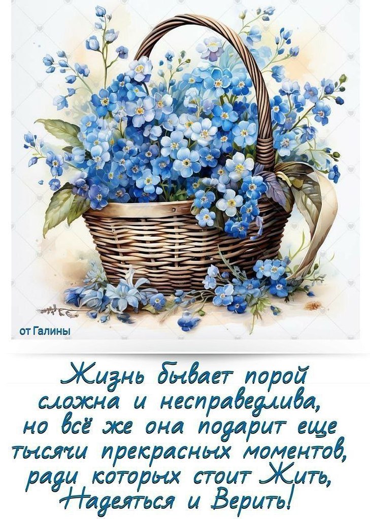   ,    . - 25  2025  16:05