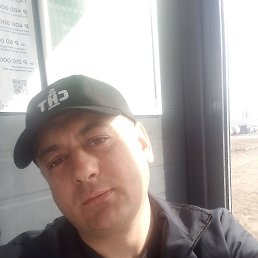 , 44, 