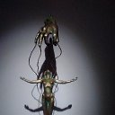 ���� ����, ��������, 54 ���� - ��������� 7 ������ 2025 � ������ ���� ����������