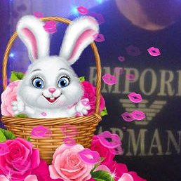 �������, �����, 41 ���