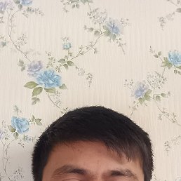 , 32, 