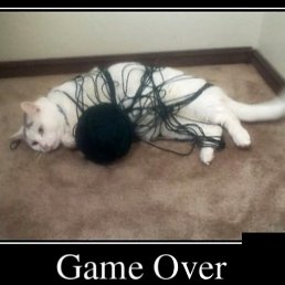 ������, �����, 42 ����