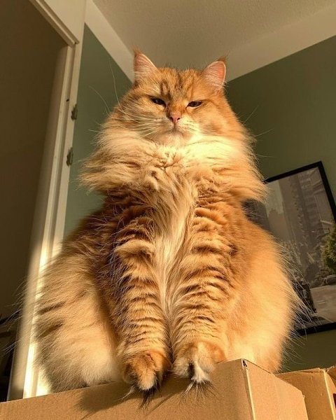  - 1  2025  10:50 - 2