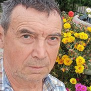 ����, 71 ���, ����������