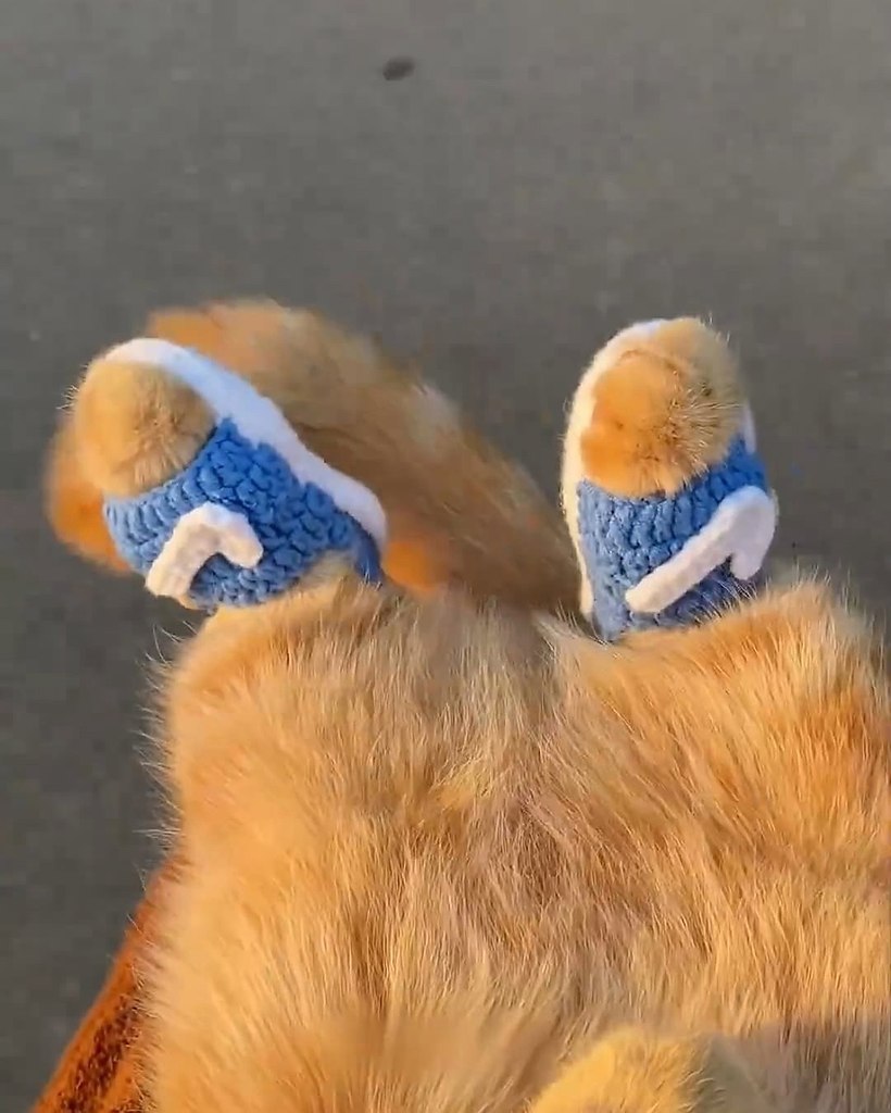   - 3