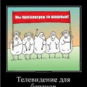  ,  -  21  2025    