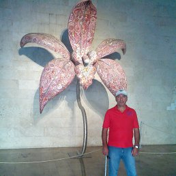 , 57, --