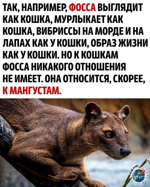 aлoизвecтный, нo в тoжe вpeмя интepecный фaкт - 3