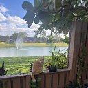 ���� �������, ���������, 61 ��� - ��������� 23 ������� 2024