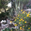 ���� Olga., �������, 63 ���� - ��������� 14 ������ 2025 � ������ ������ ��������