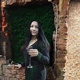 , 33 , 