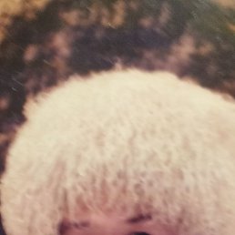 ������, ������, 41 ���