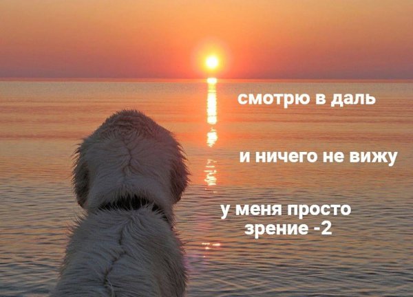    - 29  2024  04:25