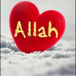 Qowqar, ����, 43 ����