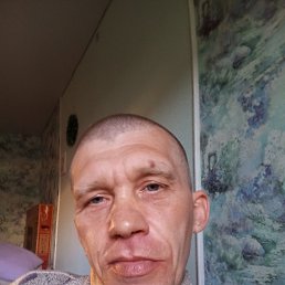 , 40, 