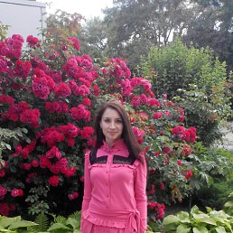 , 29, 