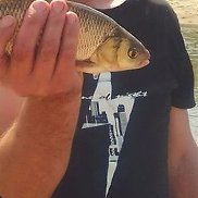 �������, 43 ����, �����