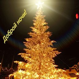 ����, ������, 43 ����