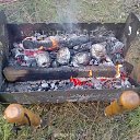 ���� ������, ������, 53 ���� - ��������� 28 ���� 2025 � ������ ���� ����������