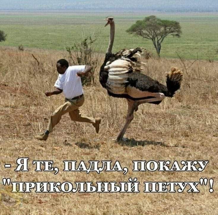   - 13  2025  19:13