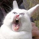 ���� �����, ��������� - ��������� 5 ��� 2026 � ������ ���� ����������