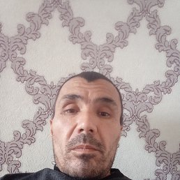 ����, 41 ���, ���������