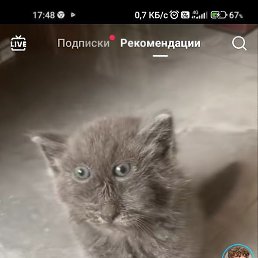 ������, ������, 41 ���