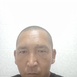  , , 37  -  24  2025