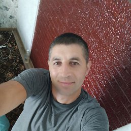 , 39, 