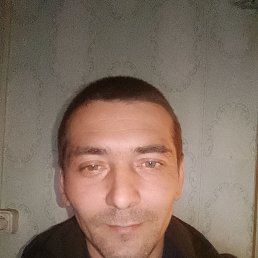 , 37, 