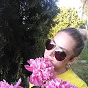 ���� ����, ������, 33 ���� - ��������� 29 ���� 2026 � ������ ���� ����������