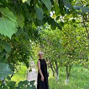 ���� �����, ������, 49 ��� - ��������� 14 ������� 2025 � ������ ���� ����������