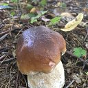 ���� ����, �����������, 67 ��� - ��������� 5 ������� 2024 � ������ ���� ����������