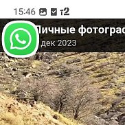 ��������, 29 ���, ������