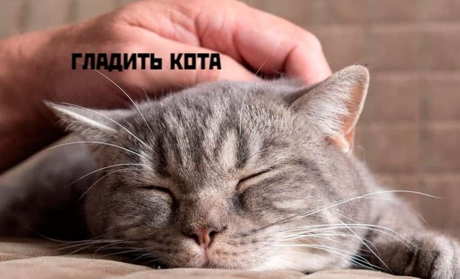 Коты-самое лучшее лекарство - 8