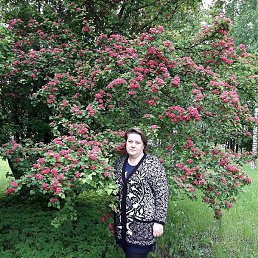 ������, �����-���������, 57 ���