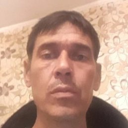 �����, ������, 49 ���