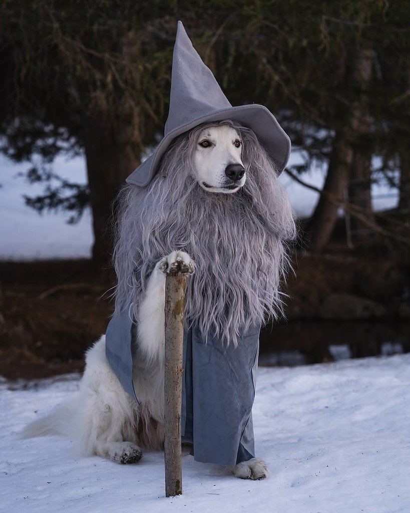 ��� ������ ����� ������ ������� � ����! - 3