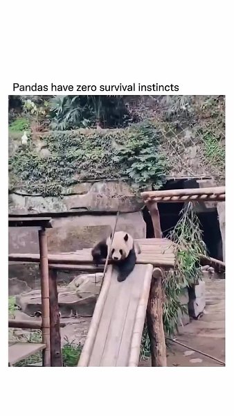 ����� ����� ��� � �����, ��������! - 2